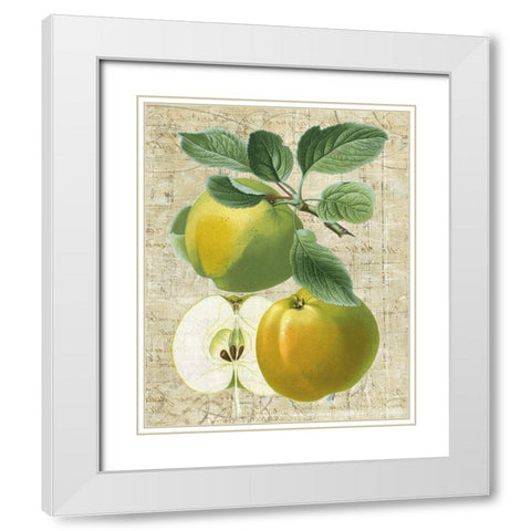 Orchard Medley I White Modern Wood Framed Art Print with Double Matting by Vision Studio