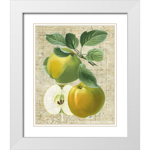 Orchard Medley I White Modern Wood Framed Art Print with Double Matting by Vision Studio
