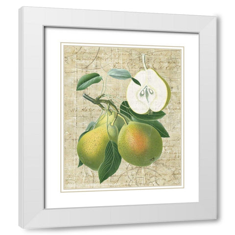 Orchard Medley II White Modern Wood Framed Art Print with Double Matting by Vision Studio