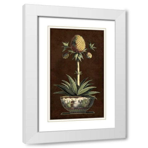 Potted Pineapple I White Modern Wood Framed Art Print with Double Matting by Vision Studio