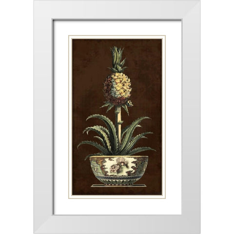 Potted Pineapple II White Modern Wood Framed Art Print with Double Matting by Vision Studio