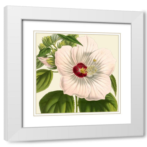 Tropical Vision I White Modern Wood Framed Art Print with Double Matting by Vision Studio
