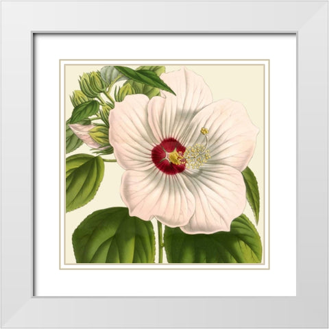 Tropical Vision I White Modern Wood Framed Art Print with Double Matting by Vision Studio