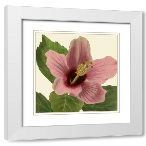 Tropical Vision II White Modern Wood Framed Art Print with Double Matting by Vision Studio
