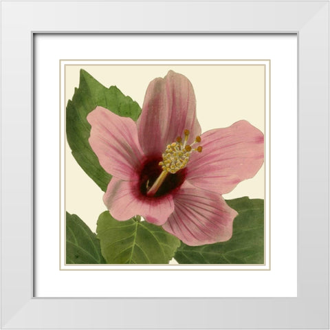 Tropical Vision II White Modern Wood Framed Art Print with Double Matting by Vision Studio