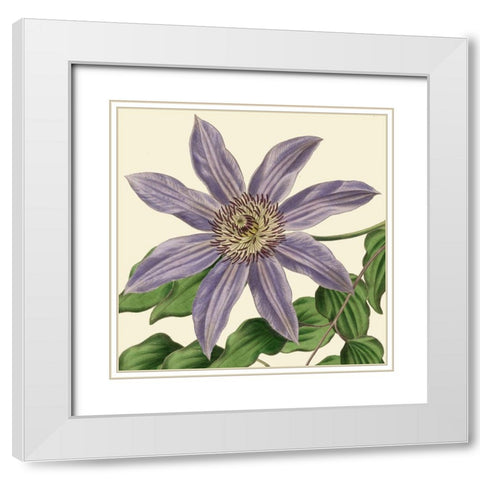Tropical Vision III White Modern Wood Framed Art Print with Double Matting by Vision Studio