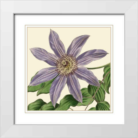 Tropical Vision III White Modern Wood Framed Art Print with Double Matting by Vision Studio