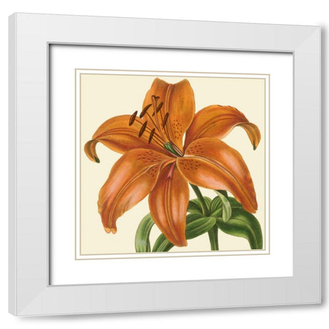 Tropical Vision IV White Modern Wood Framed Art Print with Double Matting by Vision Studio