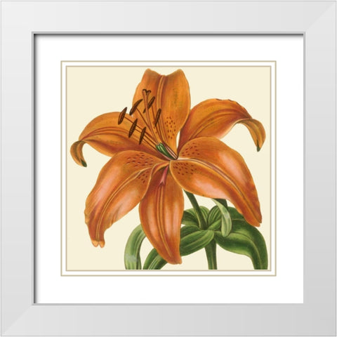 Tropical Vision IV White Modern Wood Framed Art Print with Double Matting by Vision Studio
