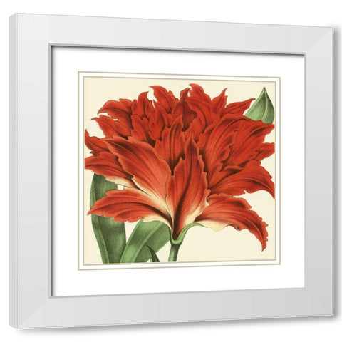 Tropical Vision V White Modern Wood Framed Art Print with Double Matting by Vision Studio