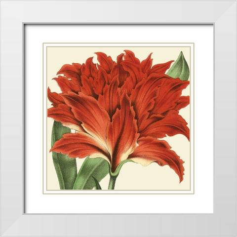 Tropical Vision V White Modern Wood Framed Art Print with Double Matting by Vision Studio