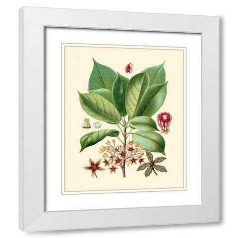 Botanical Glory I White Modern Wood Framed Art Print with Double Matting by Vision Studio