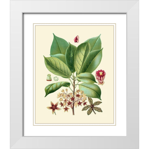 Botanical Glory I White Modern Wood Framed Art Print with Double Matting by Vision Studio