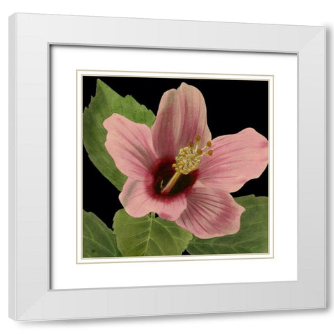 Dramatic Tropical Vision II White Modern Wood Framed Art Print with Double Matting by Vision Studio