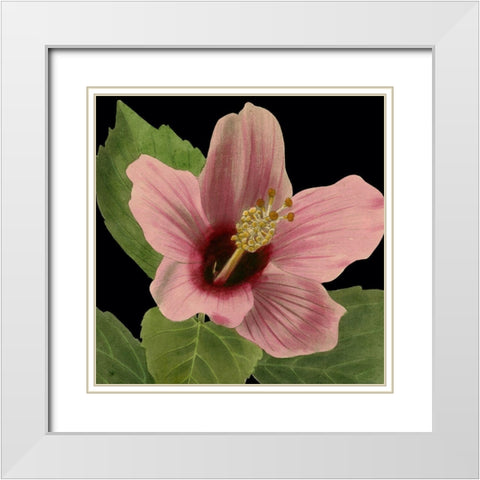 Dramatic Tropical Vision II White Modern Wood Framed Art Print with Double Matting by Vision Studio