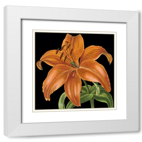 Dramatic Tropical Vision IV White Modern Wood Framed Art Print with Double Matting by Vision Studio