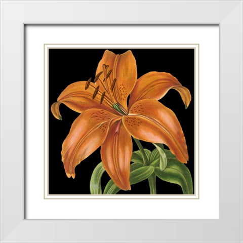 Dramatic Tropical Vision IV White Modern Wood Framed Art Print with Double Matting by Vision Studio