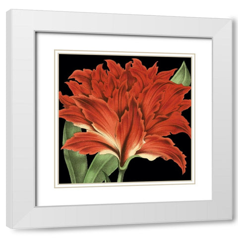 Dramatic Tropical Vision V White Modern Wood Framed Art Print with Double Matting by Vision Studio