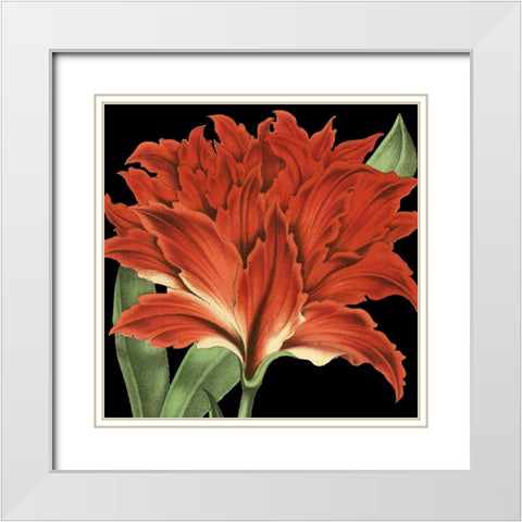 Dramatic Tropical Vision V White Modern Wood Framed Art Print with Double Matting by Vision Studio