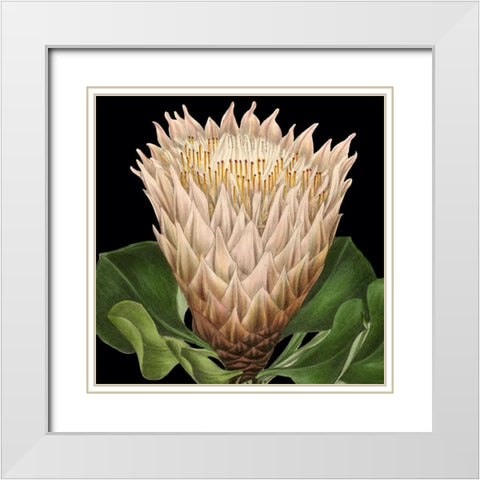 Dramatic Tropical Vision VI White Modern Wood Framed Art Print with Double Matting by Vision Studio
