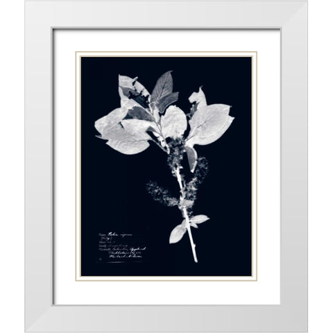 Impressions on Indigo I White Modern Wood Framed Art Print with Double Matting by Vision Studio