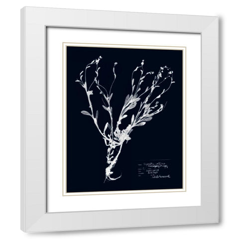 Impressions on Indigo II White Modern Wood Framed Art Print with Double Matting by Vision Studio