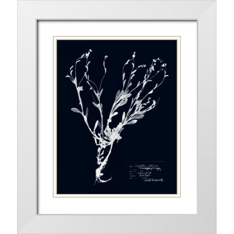 Impressions on Indigo II White Modern Wood Framed Art Print with Double Matting by Vision Studio