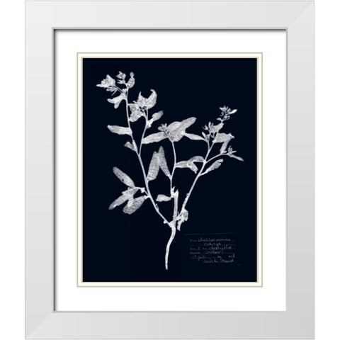 Impressions on Indigo III White Modern Wood Framed Art Print with Double Matting by Vision Studio
