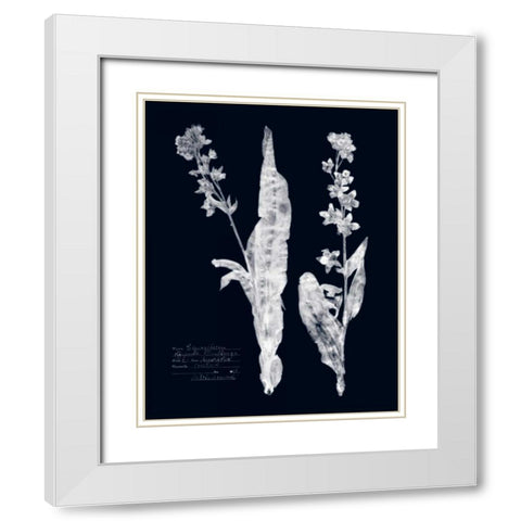 Impressions on Indigo IV White Modern Wood Framed Art Print with Double Matting by Vision Studio