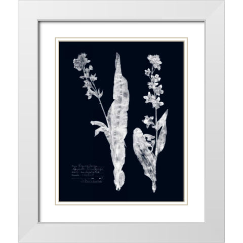 Impressions on Indigo IV White Modern Wood Framed Art Print with Double Matting by Vision Studio