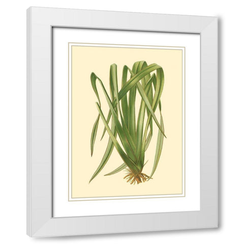 Custom Terra Collection III (KB) White Modern Wood Framed Art Print with Double Matting by Vision Studio