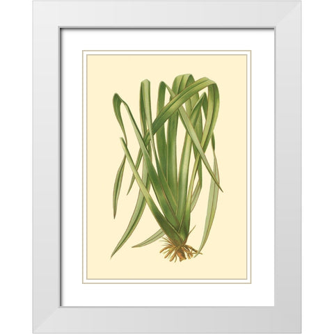 Custom Terra Collection III (KB) White Modern Wood Framed Art Print with Double Matting by Vision Studio