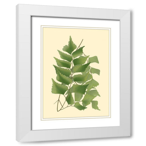 Custom Terra Collection IV (KB) White Modern Wood Framed Art Print with Double Matting by Vision Studio