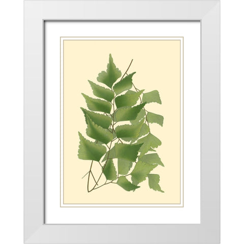Custom Terra Collection IV (KB) White Modern Wood Framed Art Print with Double Matting by Vision Studio