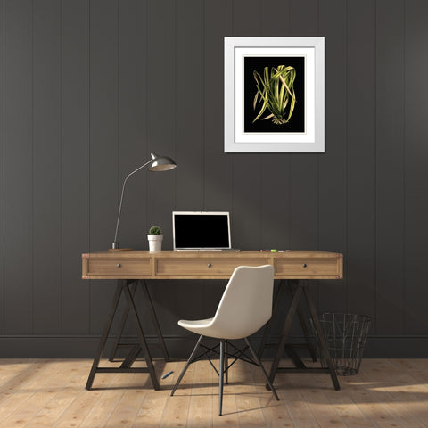 Green Leaves on Black IV White Modern Wood Framed Art Print with Double Matting by Vision Studio