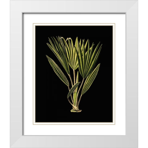 Green Leaves on Black V White Modern Wood Framed Art Print with Double Matting by Vision Studio