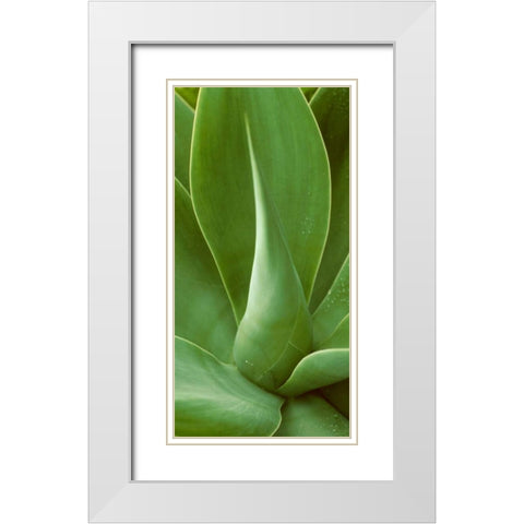 Patterned Nature I White Modern Wood Framed Art Print with Double Matting by Vision Studio