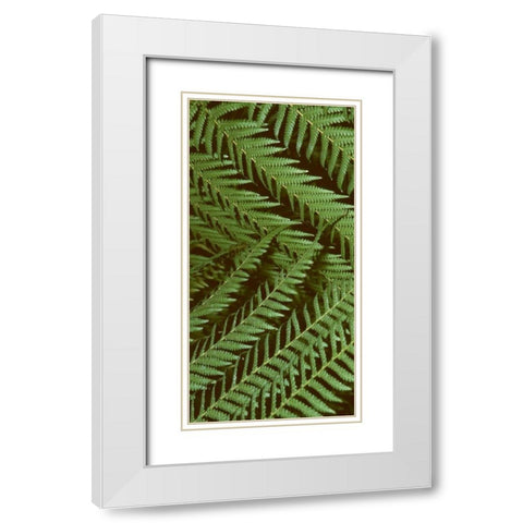 Patterned Nature II White Modern Wood Framed Art Print with Double Matting by Vision Studio