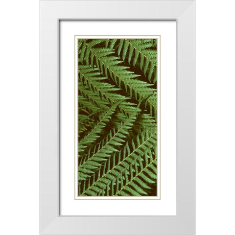 Patterned Nature II White Modern Wood Framed Art Print with Double Matting by Vision Studio