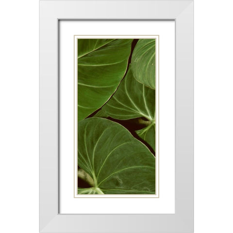 Patterned Nature III White Modern Wood Framed Art Print with Double Matting by Vision Studio