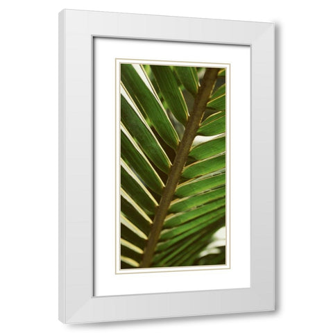 Patterned Nature IV White Modern Wood Framed Art Print with Double Matting by Vision Studio