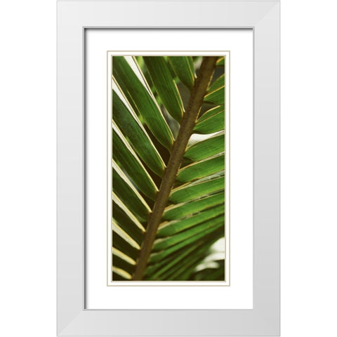 Patterned Nature IV White Modern Wood Framed Art Print with Double Matting by Vision Studio