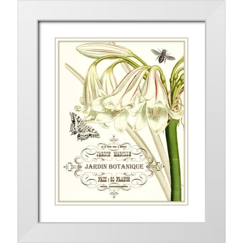 Jardin Botanique I White Modern Wood Framed Art Print with Double Matting by Vision Studio