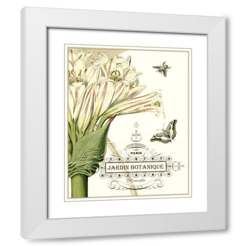 Jardin Botanique II White Modern Wood Framed Art Print with Double Matting by Vision Studio