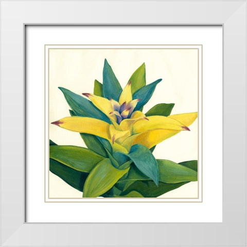 Tropical Bloom II White Modern Wood Framed Art Print with Double Matting by Meagher, Megan