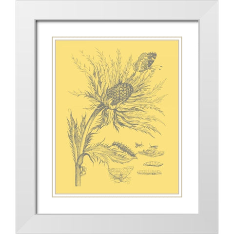 Natures Optimism I White Modern Wood Framed Art Print with Double Matting by Vision Studio