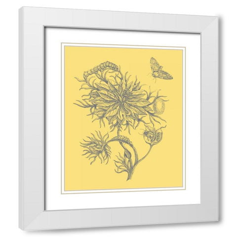 Natures Optimism II White Modern Wood Framed Art Print with Double Matting by Vision Studio