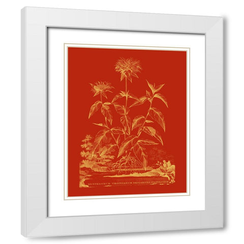 Paprika Bouquet II White Modern Wood Framed Art Print with Double Matting by Vision Studio