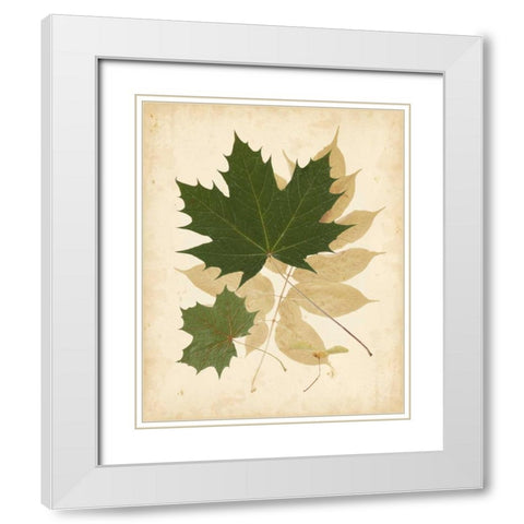 Natures Collage I White Modern Wood Framed Art Print with Double Matting by Vision Studio