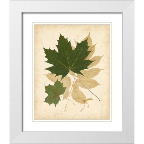 Natures Collage I White Modern Wood Framed Art Print with Double Matting by Vision Studio
